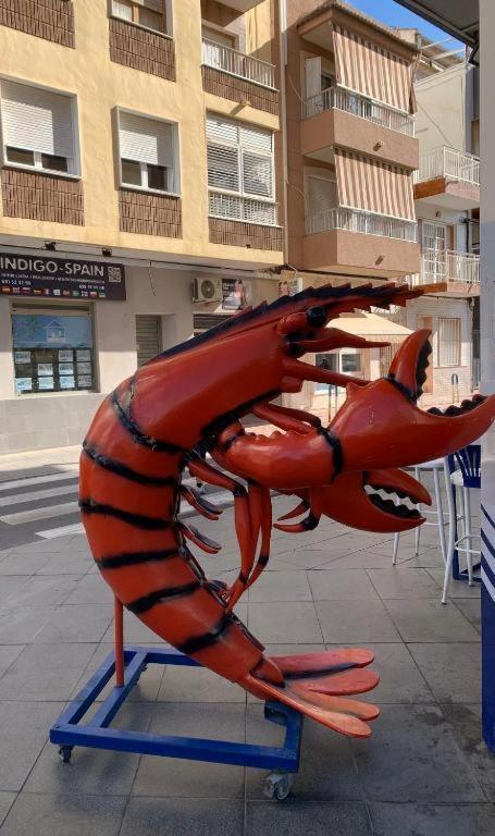 Eb By Zanis Torrevieja